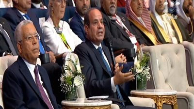 الرئيس السيسي لضيوف مؤتمر السكان: «مواردنا ليست كبيرة.. ولكن تعايشنا»