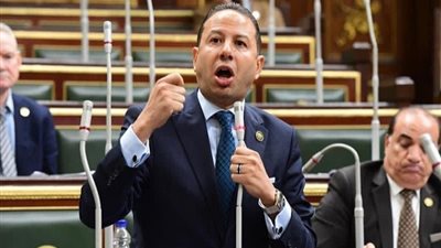 «برلماني»: مصر تمتلك مقومات تؤهلها للصدارة في توطين صناعة السيارات