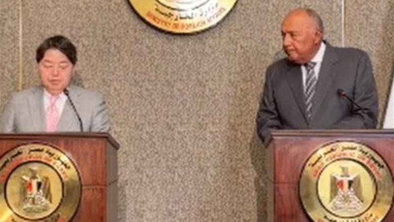 سامح شكري ونظيره الياباني