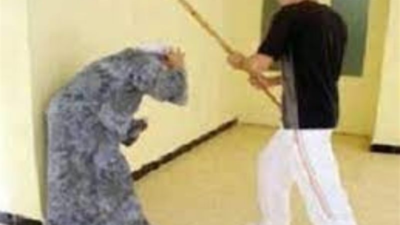 أرشيفية