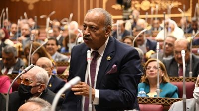 برلماني: مشاركة الرئيس السيسي بقمة العشرين تأكيدًا لدور مصر الاستراتيجي بالمنطقة