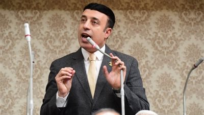 «برلماني»: مشاركة الرئيس السيسي بقمة العشرين تعكس مكانة مصر دوليًا