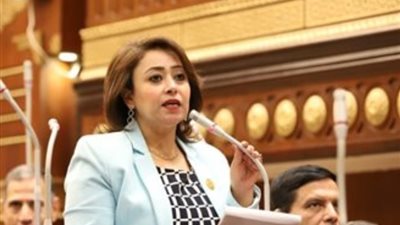 «حقوق الإنسان» بـ «الشيوخ» مشيدة بتوجيه الرئيس بدعم الأشقاء: «مصر أم الدنيا»