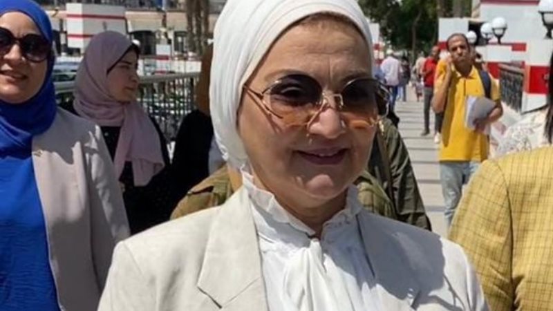 ميرفت السيد