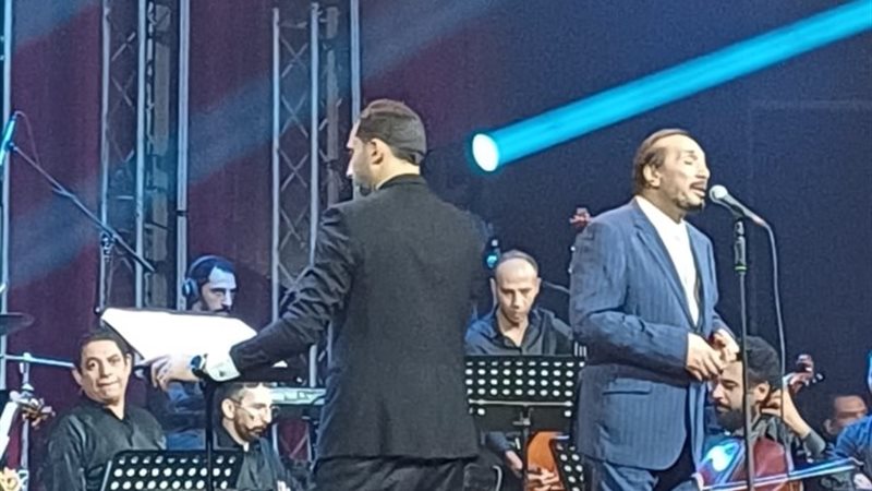 على الحجار
