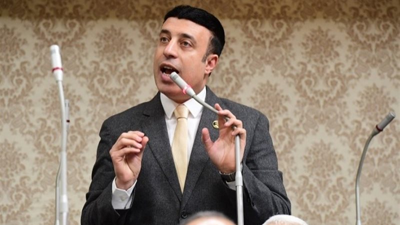 النائب أحمد الشناوي