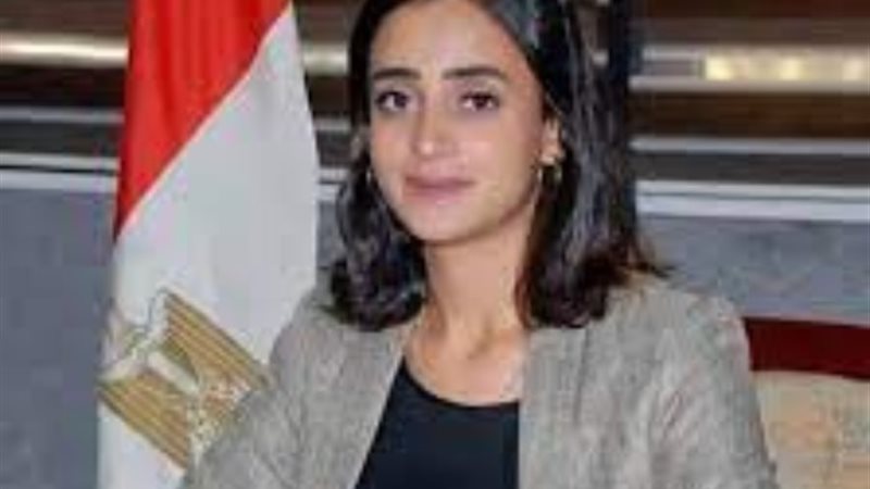 النائبة أميرة يسري عضو مجلس النواب
