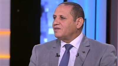 برلماني بـ«النور» عن ترحيب الطنطاوي بالإخوان: الشعب لفظهم ولن يسمح بعودتهم