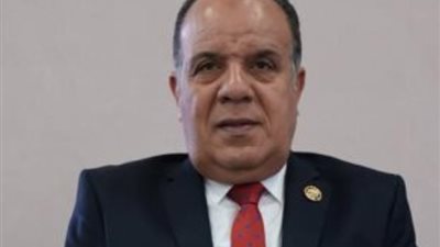 برلماني لـ«الطنطاوي» عن ترحيبه بالإخوان: الإرهابية مرفوضة في الشارع المصري