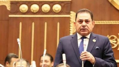 فرج فتحي: تقرير «أونكتاد» عن مصر يعكس سياسة الدولة بقيادة السيسي