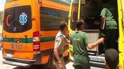«لم يرحم توسلاته».. مريض نفسي ينهي حياة والده بالشرقية