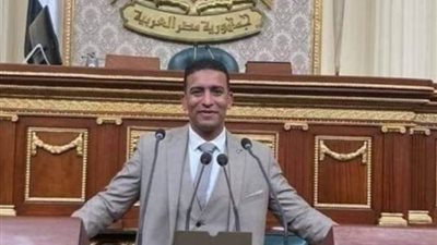 برلمانيون عن دعوة «الطنطاوي» للإخوان: محاولات بائسة لجمع أصواتهم وأموالهم المشبوهة