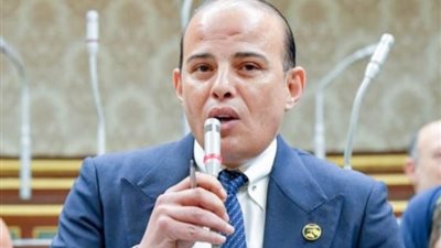 النائب عمرو القطامى: سنوات تهميش الصعيد انتهت في عهد الرئيس السيسي