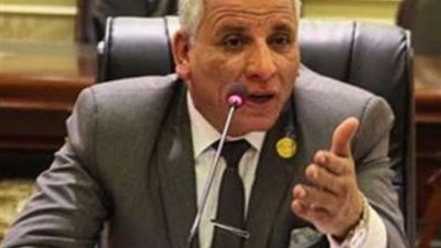 النائب عبد الفتاح محمد : قرارات الرئيس السيسي لتخفيف معاناة المواطن