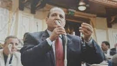 النائب أحمد العرجاوي: قرارات الرئيس دعم معنوي للمواطن البسيط