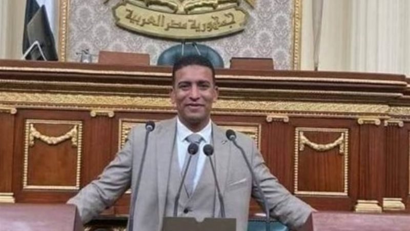 النائب أحمد الشيشيني
