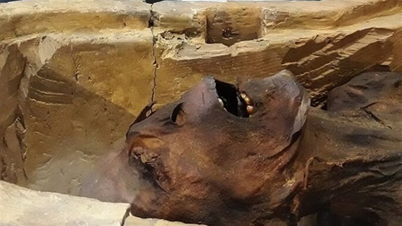 المومياء الصارخة