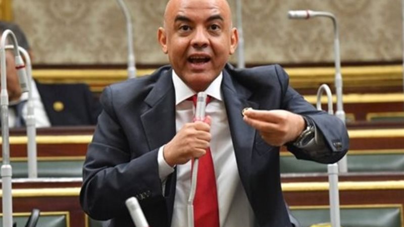 النائب عمرو هندي