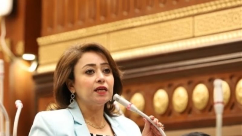 النائبة رشا إسحاق
