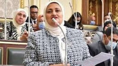 النائبة سناء السعيد تطالب الحكومة بضبط الأسعار