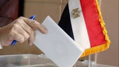 عضو «محلية النواب»: «الدولة حريصة على إدارة الانتخابات بشفافية دون تمييز»