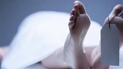 «طالع على المعاش».. مصرع مسن إثر اصطدامه بسيارة