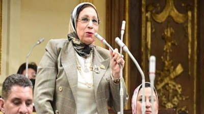 النائبة إيناس عبد الحليم: نؤيد السيسي لاستكمال مسيرة البناء والتنمية