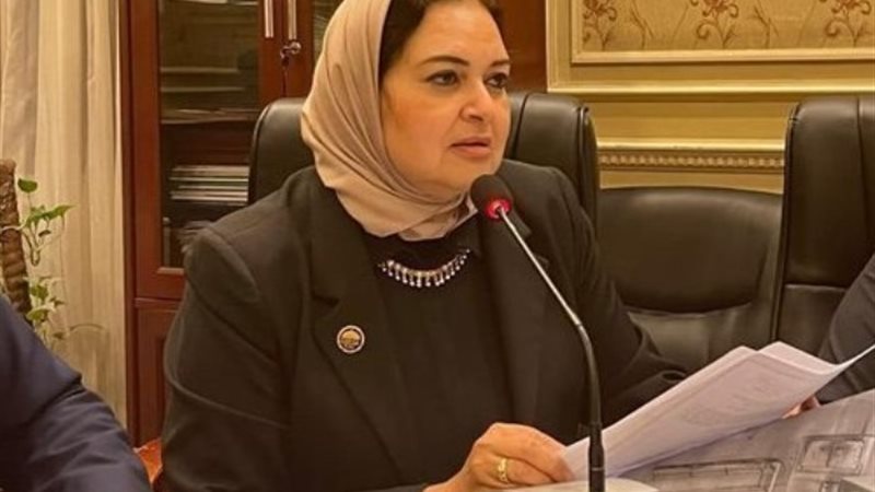 النائبةمنى عمر