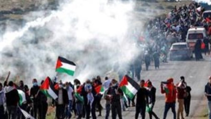 فلسطين