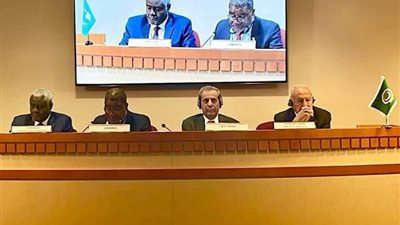 أبوالغيط يدعو إلى توسيع رقعة الاعتراف بالدولة الفلسطينية