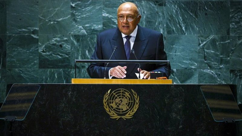 سامح شكري خلال كلمته في الأمم المتحدة