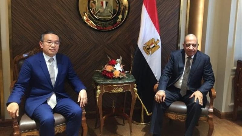 الدكتور محمود عصمت وزير قطاع الأعمال العام