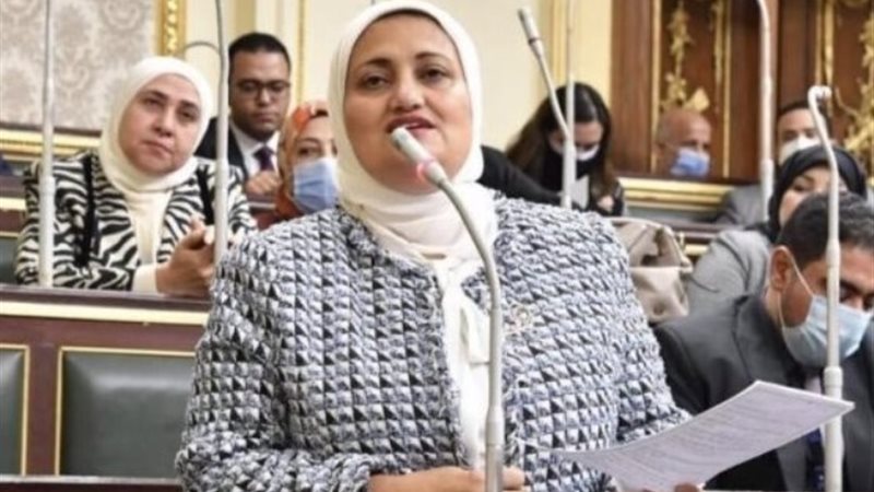 النائبة سناء السعيد