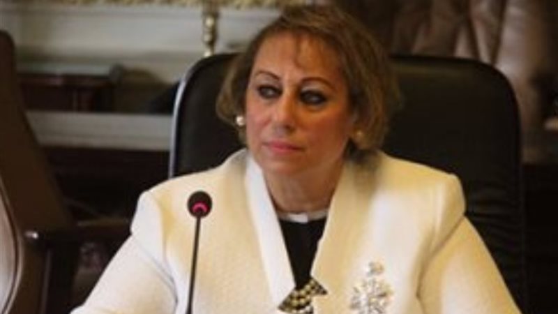 النائبة ميرفت الكسان