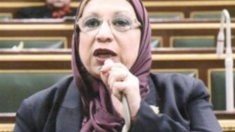 النائبة إيناس عبد الحليم