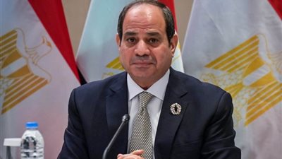 برلماني: مصر شهدت طفرة في كافة المجالات وندعم الرئيس السيسي لاستكمال التنمية