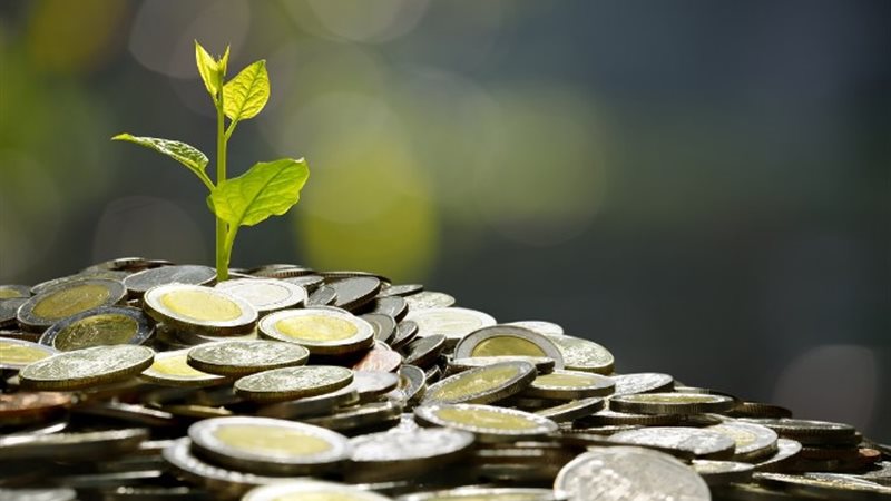 هل يجوز صرف الزكاة في المصروفات الدراسية؟