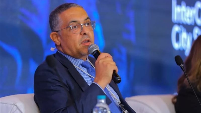 حسام هيبة- الرئيس التنفيذي لهيئة الاستثمار