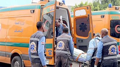 العثور على جثتي عاملين داخل حفرة بإحد مزارع منشأة القناطر
