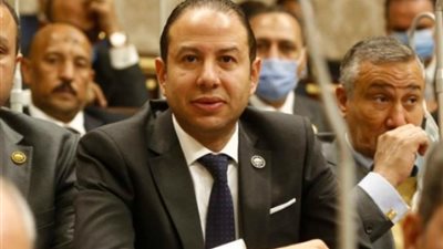 برلماني: ترشح السيسي للانتخابات الرئاسية يمتثل لصوت الشارع المصري