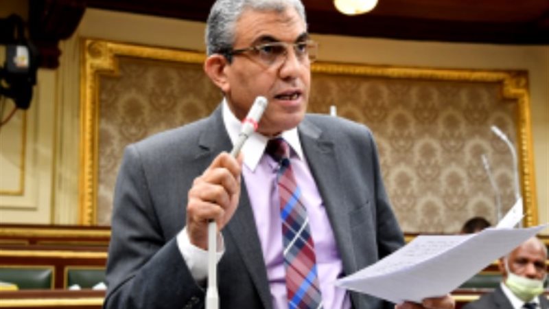 النائب عادل عبد الفضيل رئيس لجنة القوي العاملة