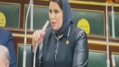 النائبة نيفين الكاتب: محاولات فاشلة للتشكيك في الانتخابات الرئاسية