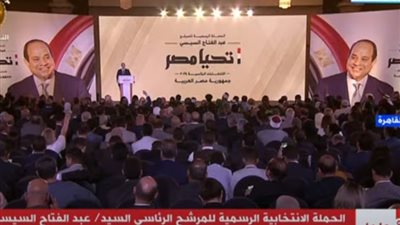 محمود فوزي: إنشاء موقع إلكتروني للحملة الانتخابية للرئيس السيسي