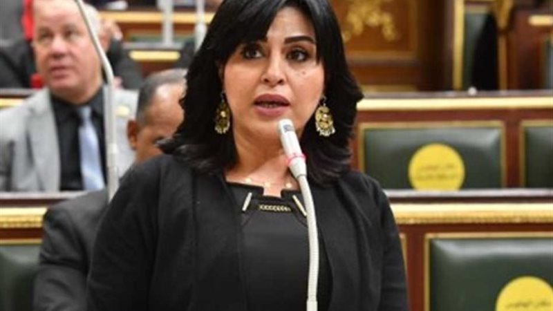 النائبة هند رشاد