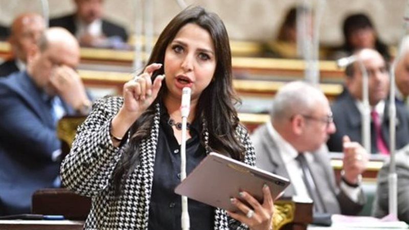 النائبه نشوى الشريف