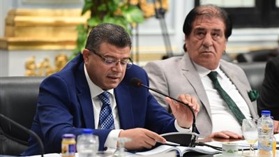 رئيس «اقتصادية النواب» يشيد بالحكومة الجديدة بحل مشكلة التراخيص الصناعية