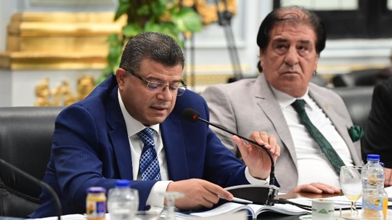 النائب محمد سليمان