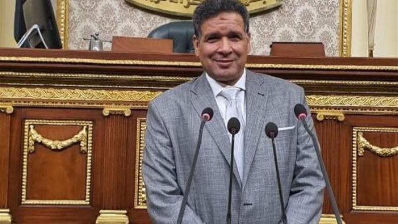 النائب عصام العمدة