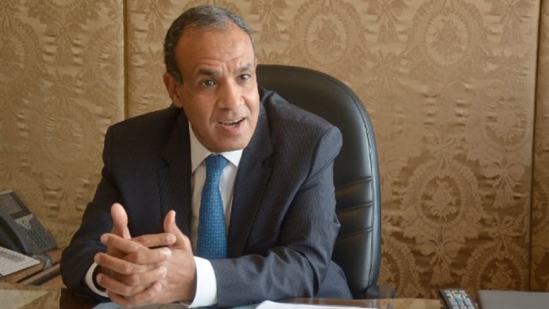 السفير بدر عبد العاطي