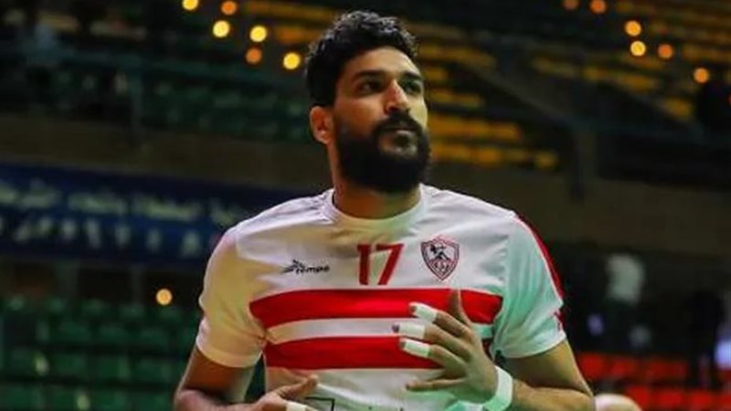 رضا هيكل